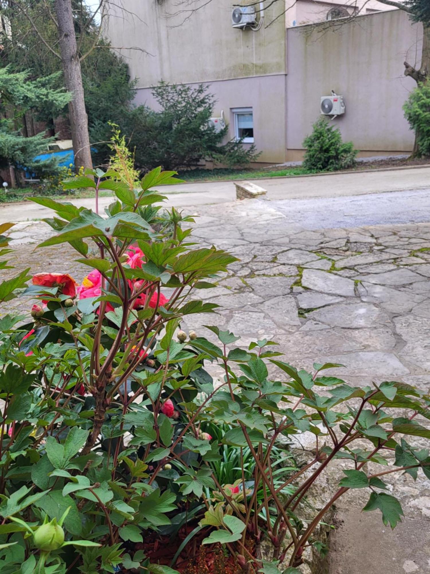 Villa Vino & Grad Zagreb Bagian luar foto