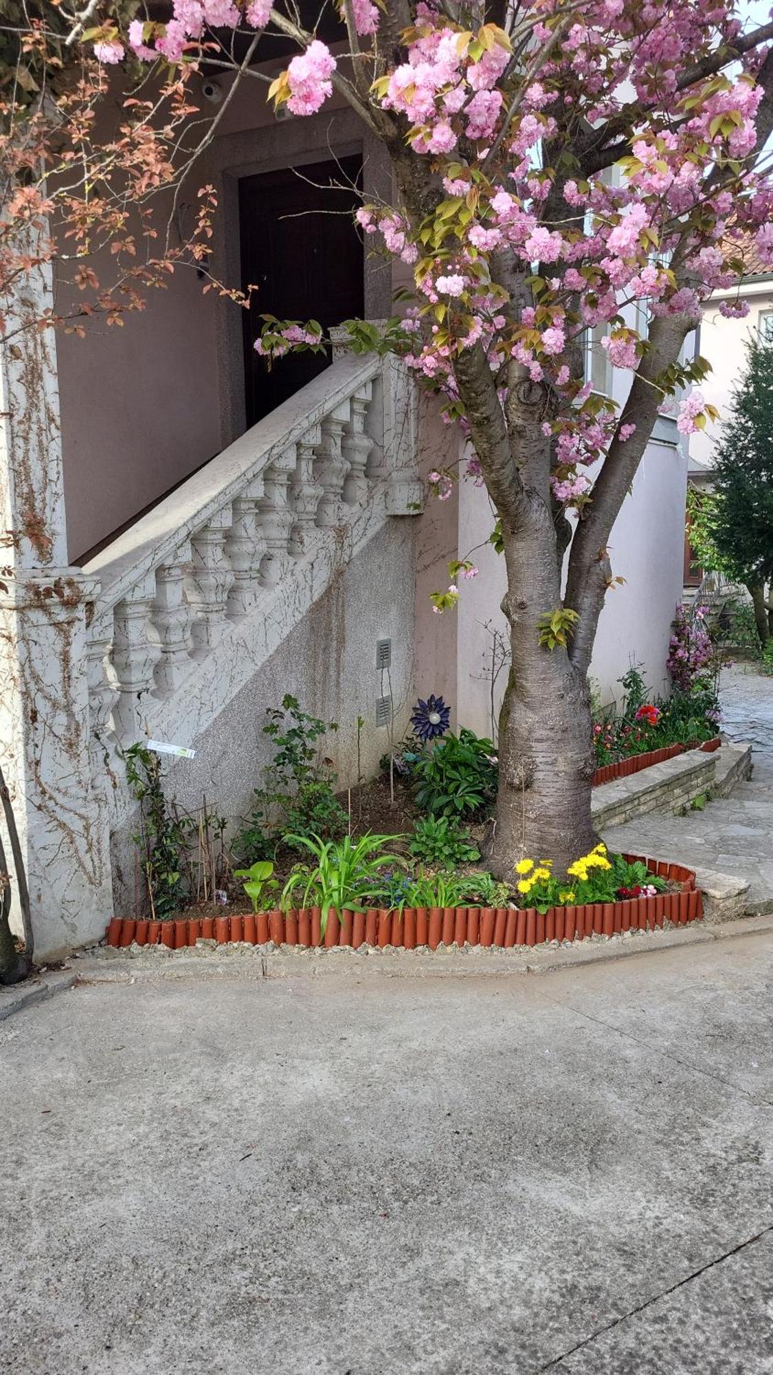 Villa Vino & Grad Zagreb Bagian luar foto