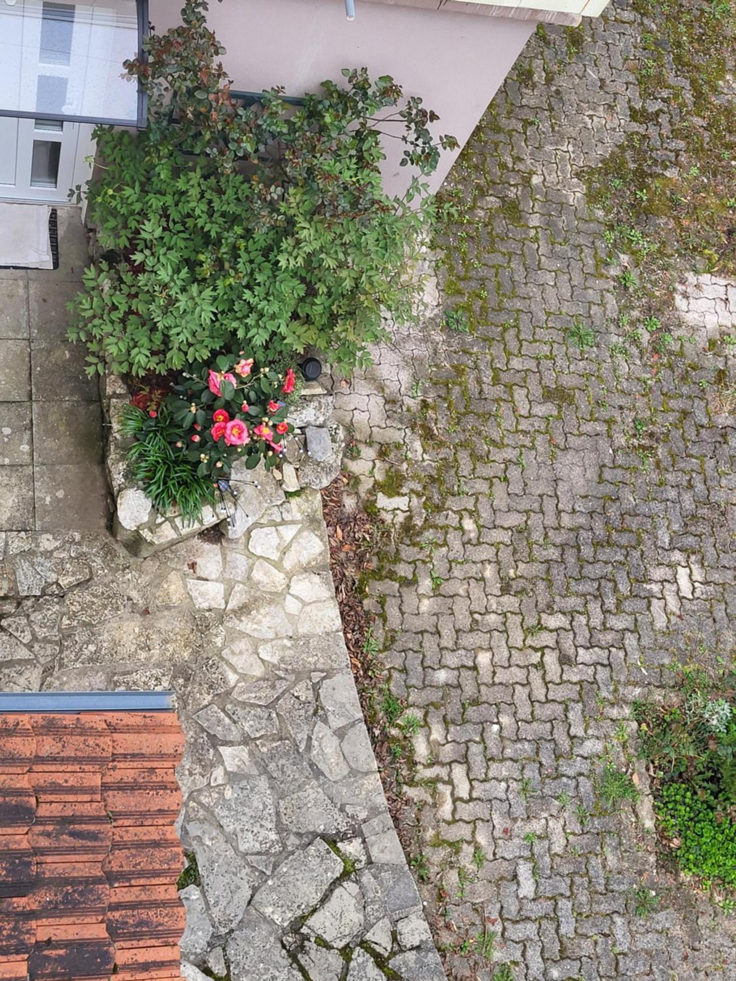 Villa Vino & Grad Zagreb Bagian luar foto
