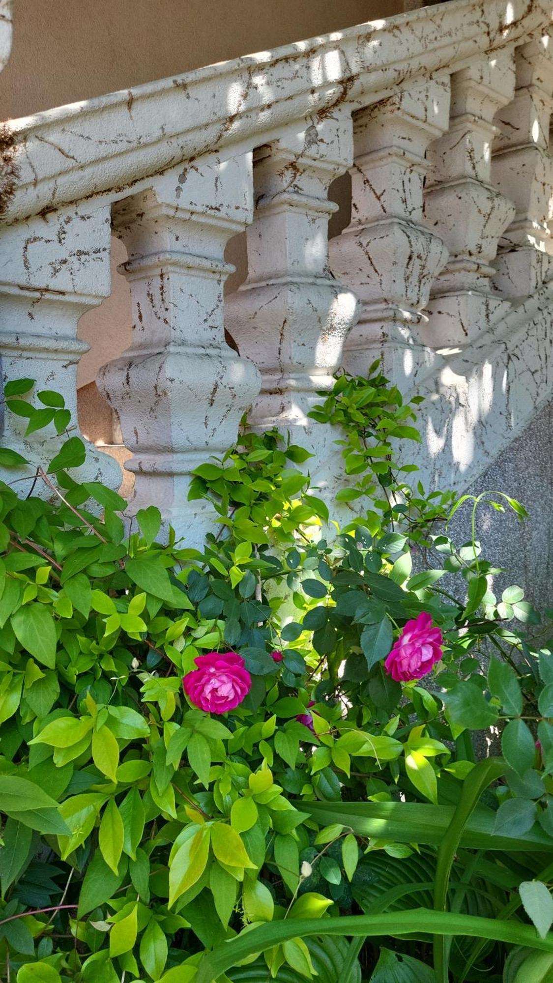 Villa Vino & Grad Zagreb Bagian luar foto